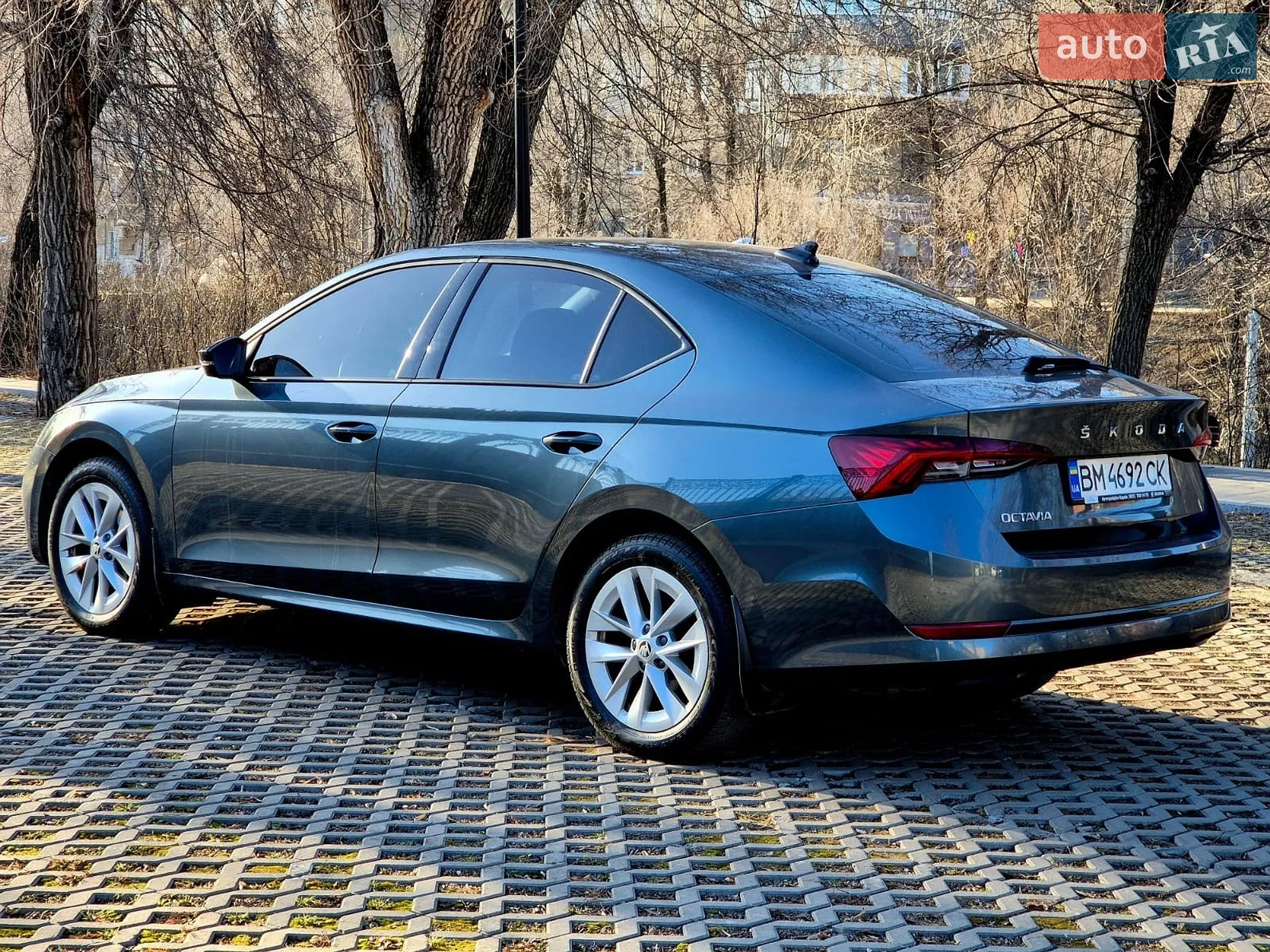 2021 Skoda Octavia - мініатюра 6