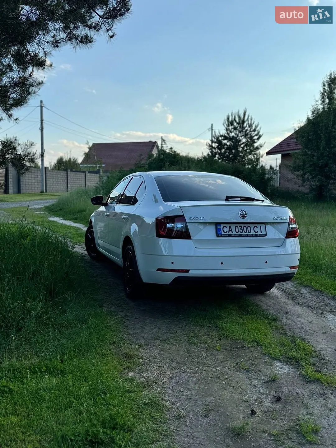 2017 Skoda Octavia - мініатюра 10