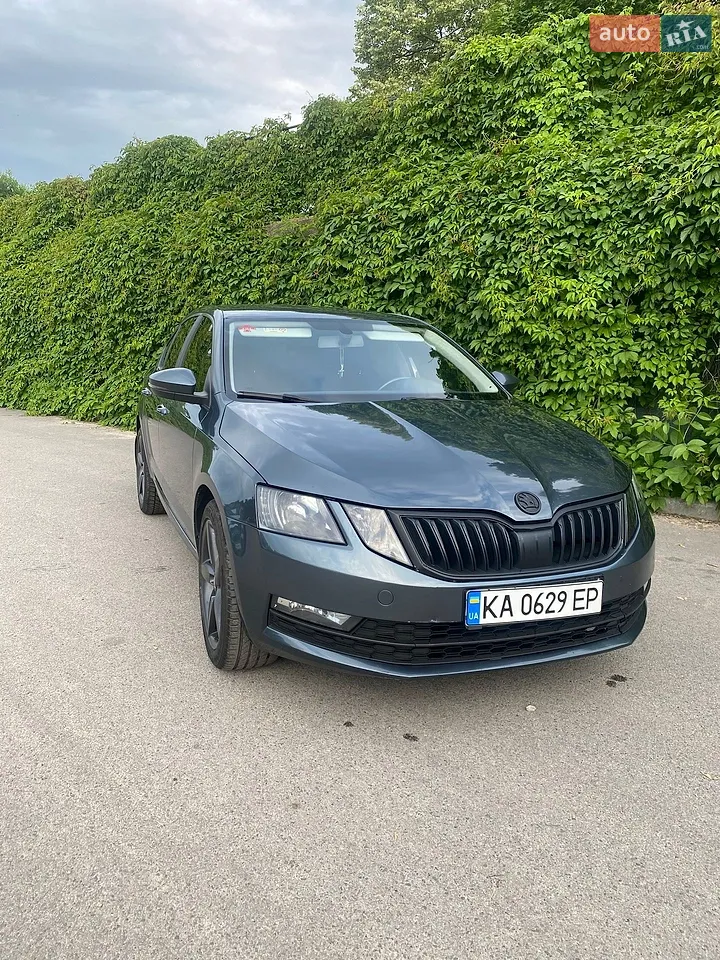 2018 Skoda Octavia - мініатюра 31