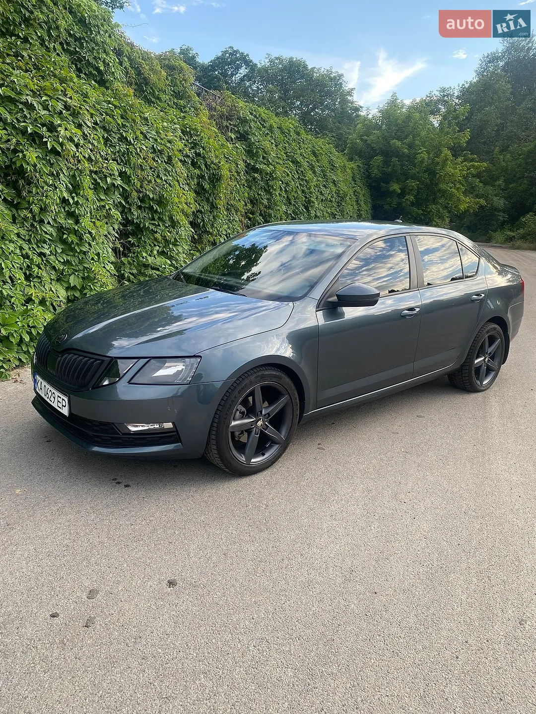 2017 Skoda Octavia - мініатюра 5