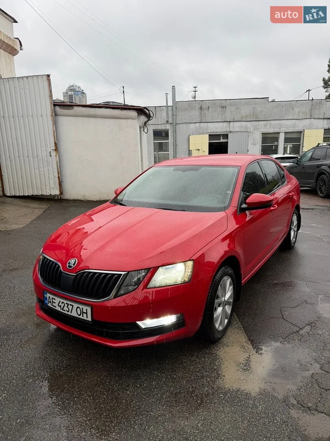 2020 Skoda Octavia - мініатюра 4