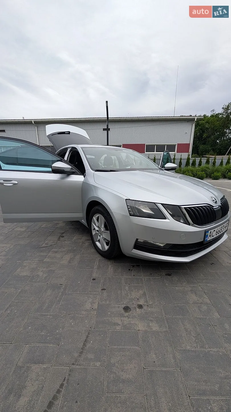 2017 Skoda Octavia - мініатюра 3