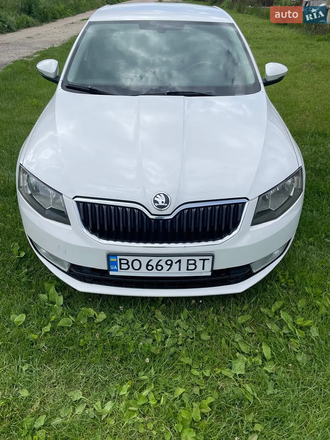 2013 Skoda Octavia - мініатюра 11