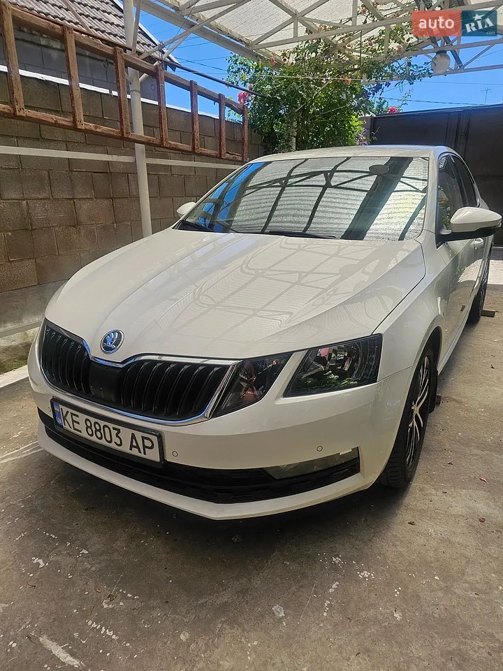 2019 Skoda Octavia - мініатюра 11