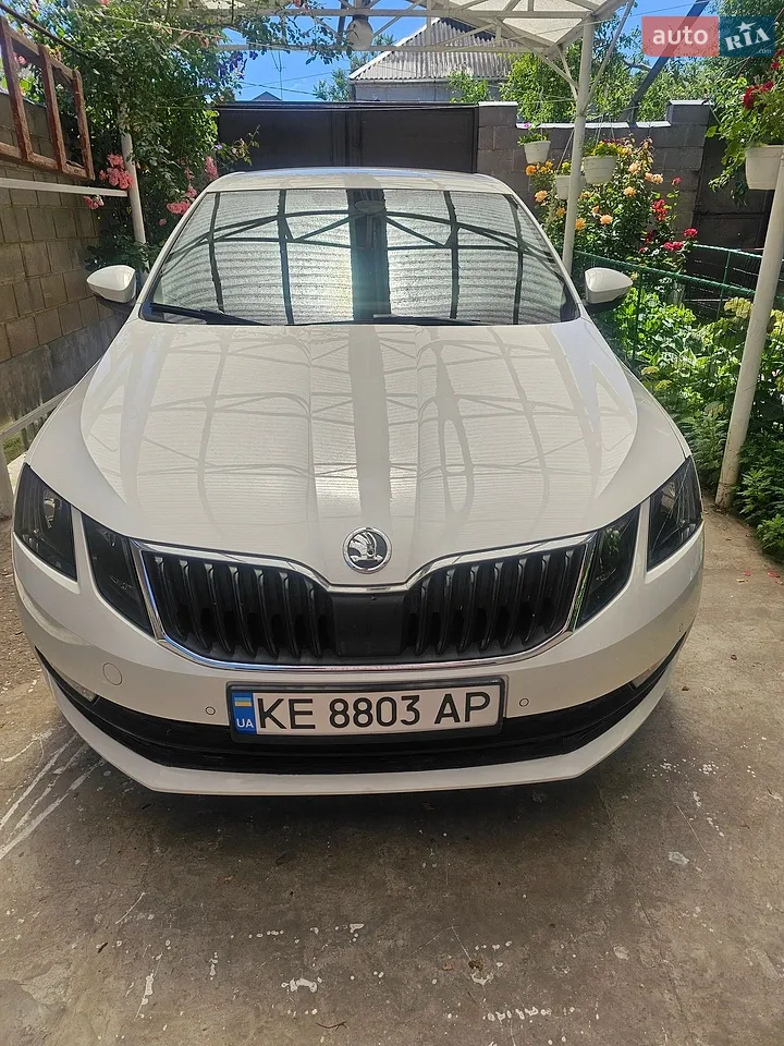 2017 Skoda Octavia - мініатюра 15