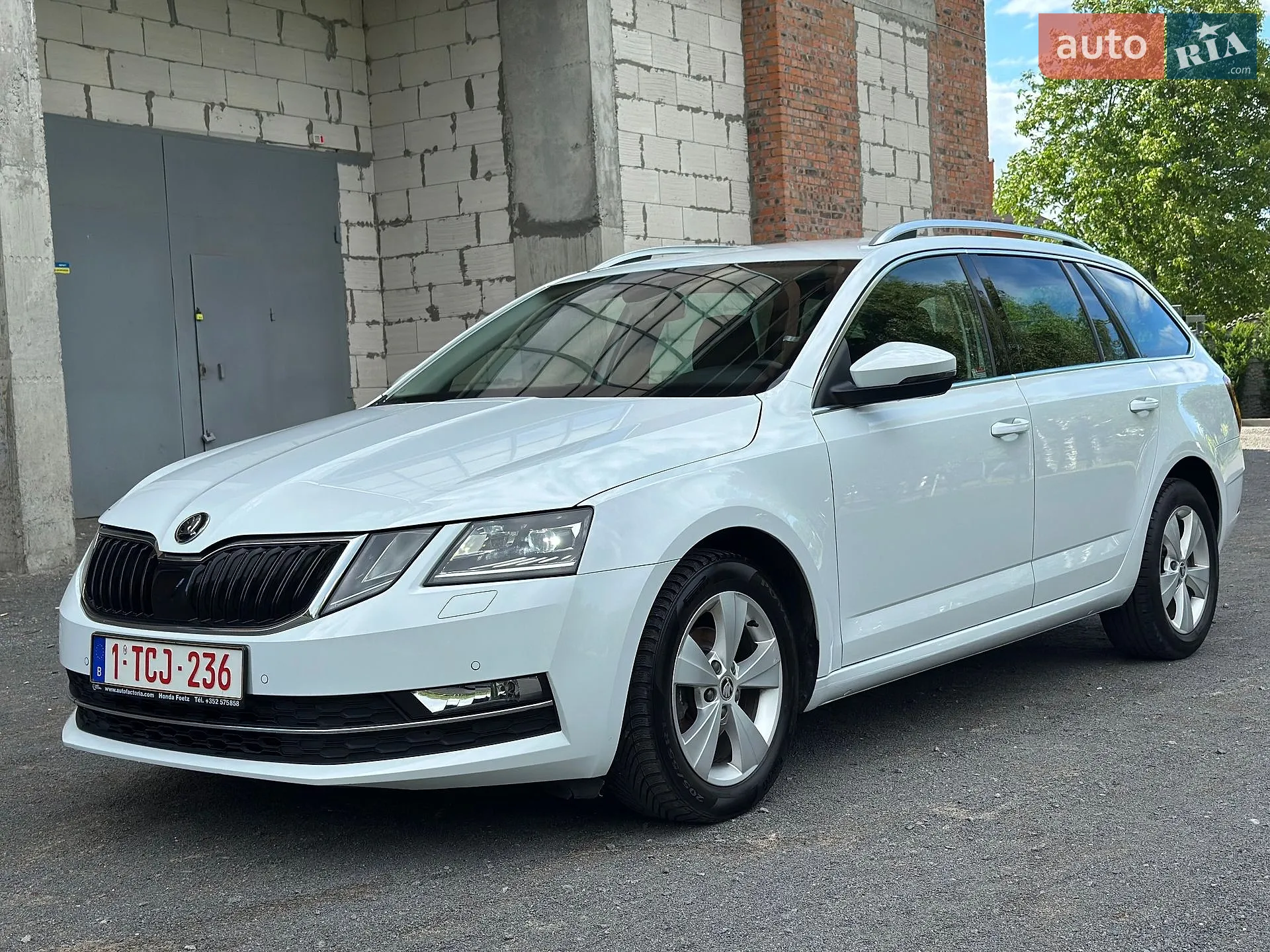 2019 Skoda Octavia - мініатюра 4