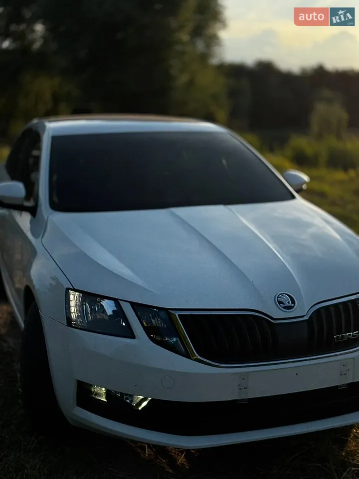 2018 Skoda Octavia - мініатюра 18