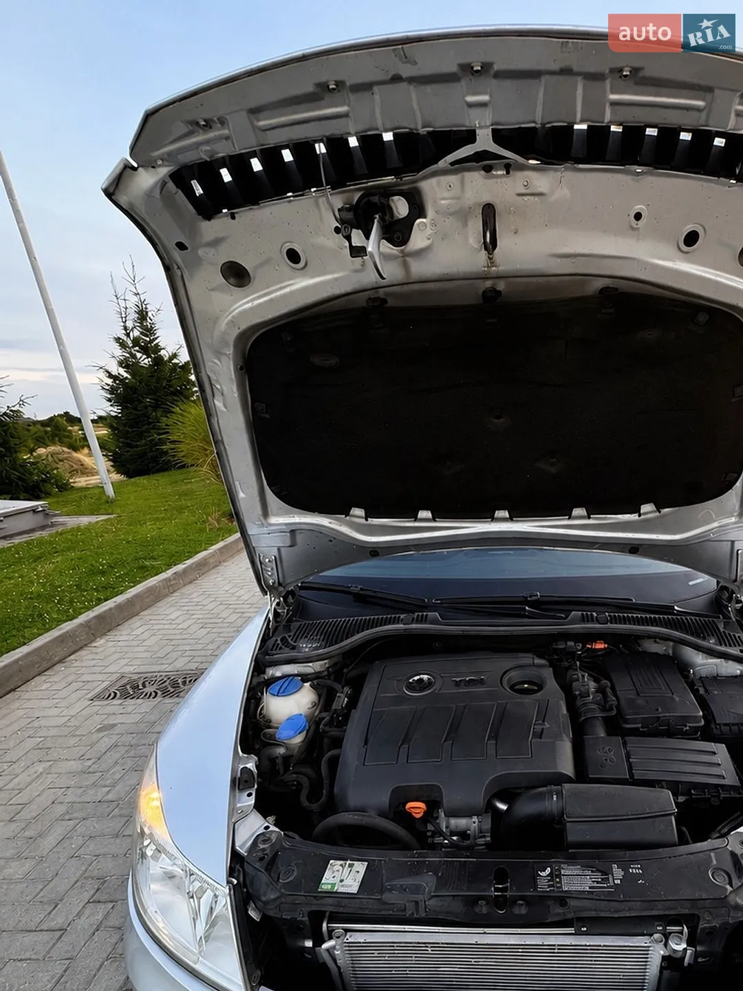 2013 Skoda Octavia - мініатюра 12