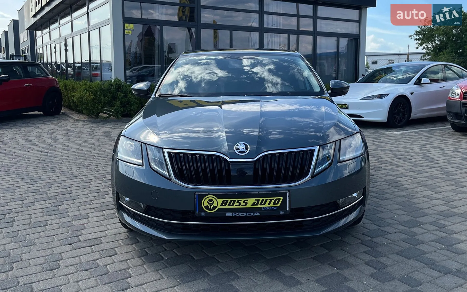 2018 Skoda Octavia - мініатюра 2