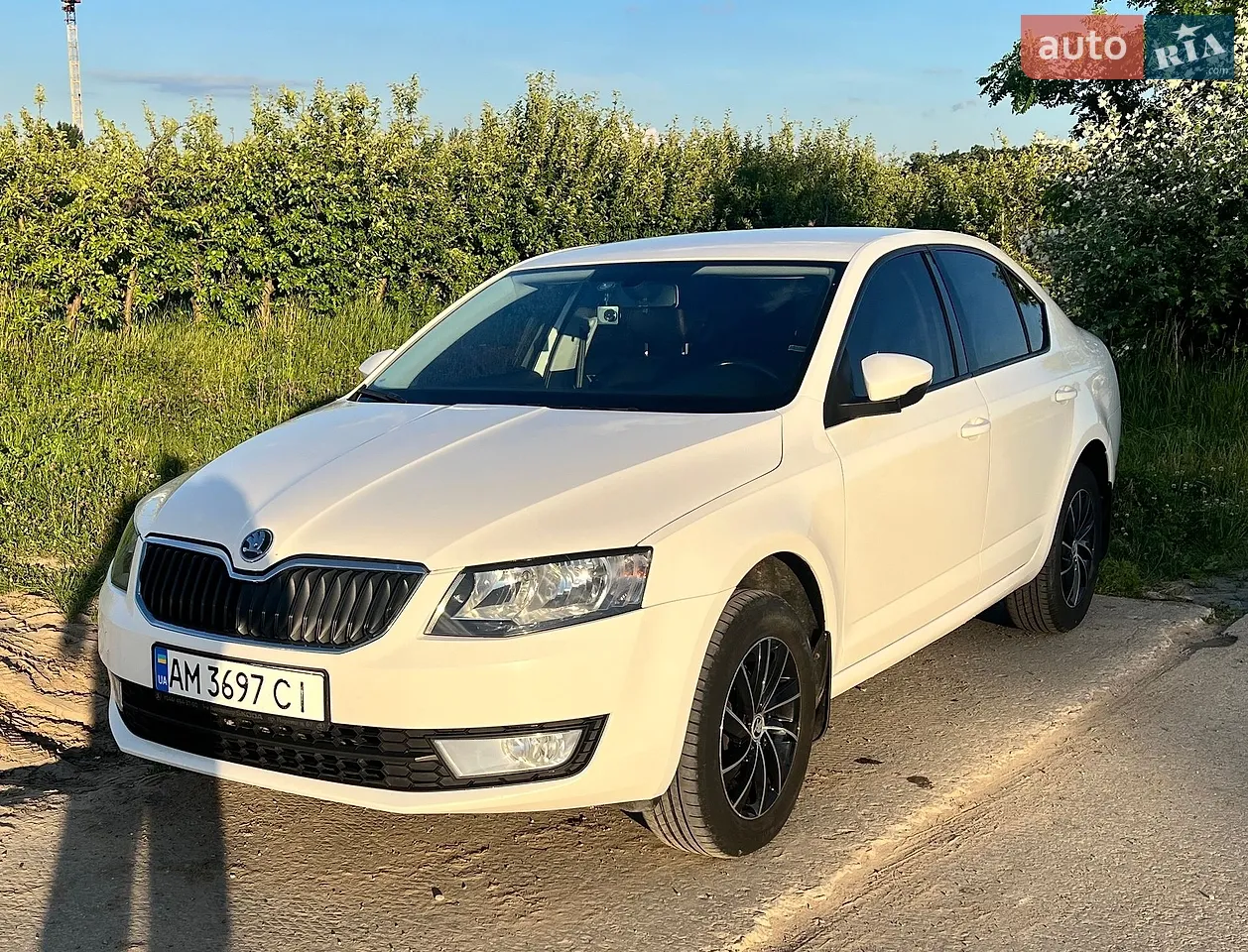 2014 Skoda Octavia - мініатюра 16