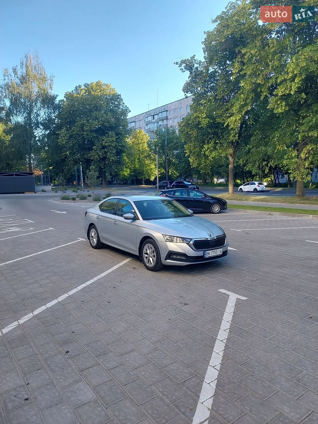 2020 Skoda Octavia - фото 1