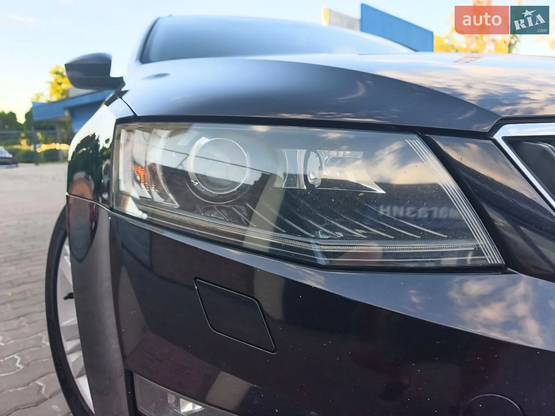 2016 Skoda Octavia - мініатюра 7
