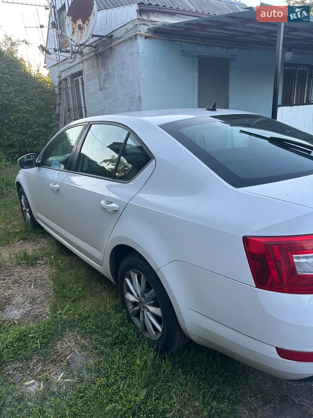 2013 Skoda Octavia - мініатюра 5