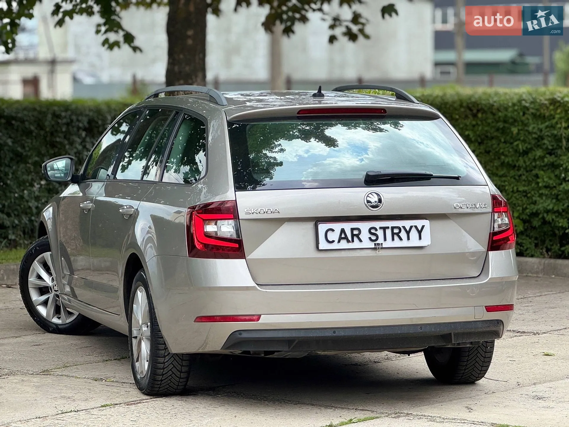 2019 Skoda Octavia - мініатюра 4