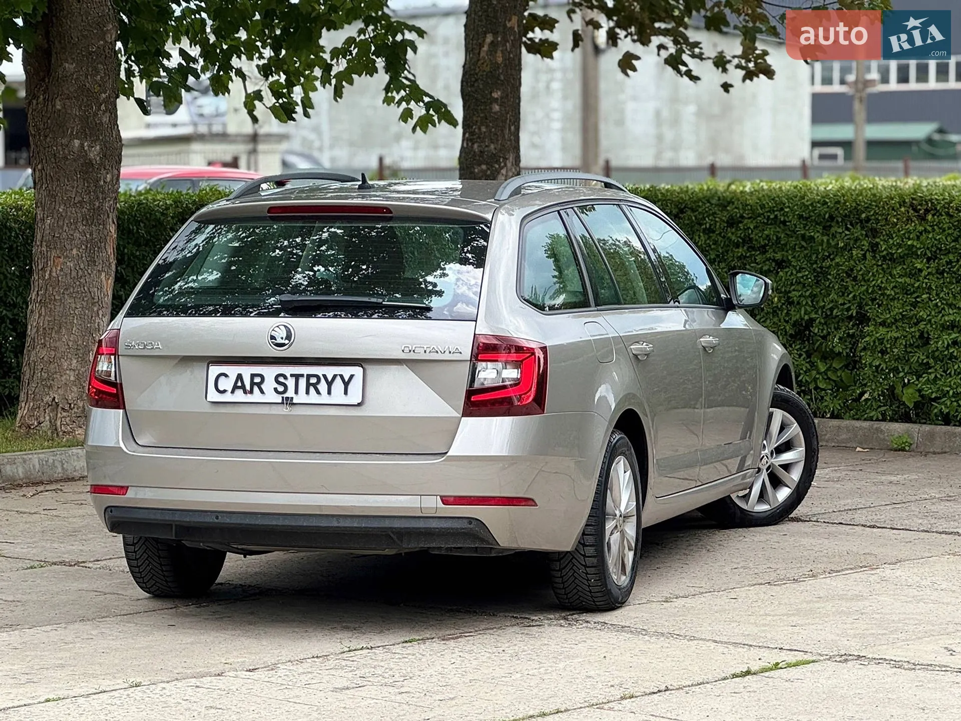 2019 Skoda Octavia - мініатюра 18