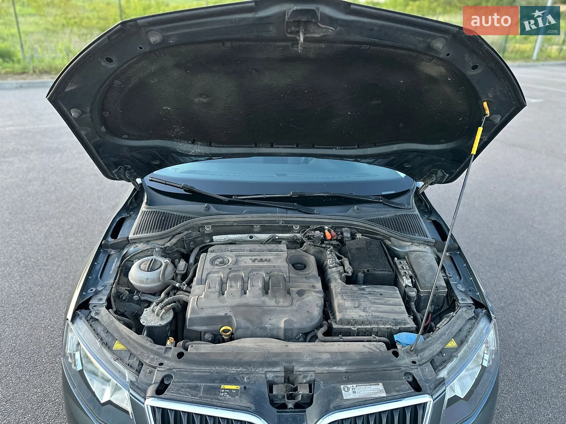 2014 Skoda Octavia - мініатюра 41