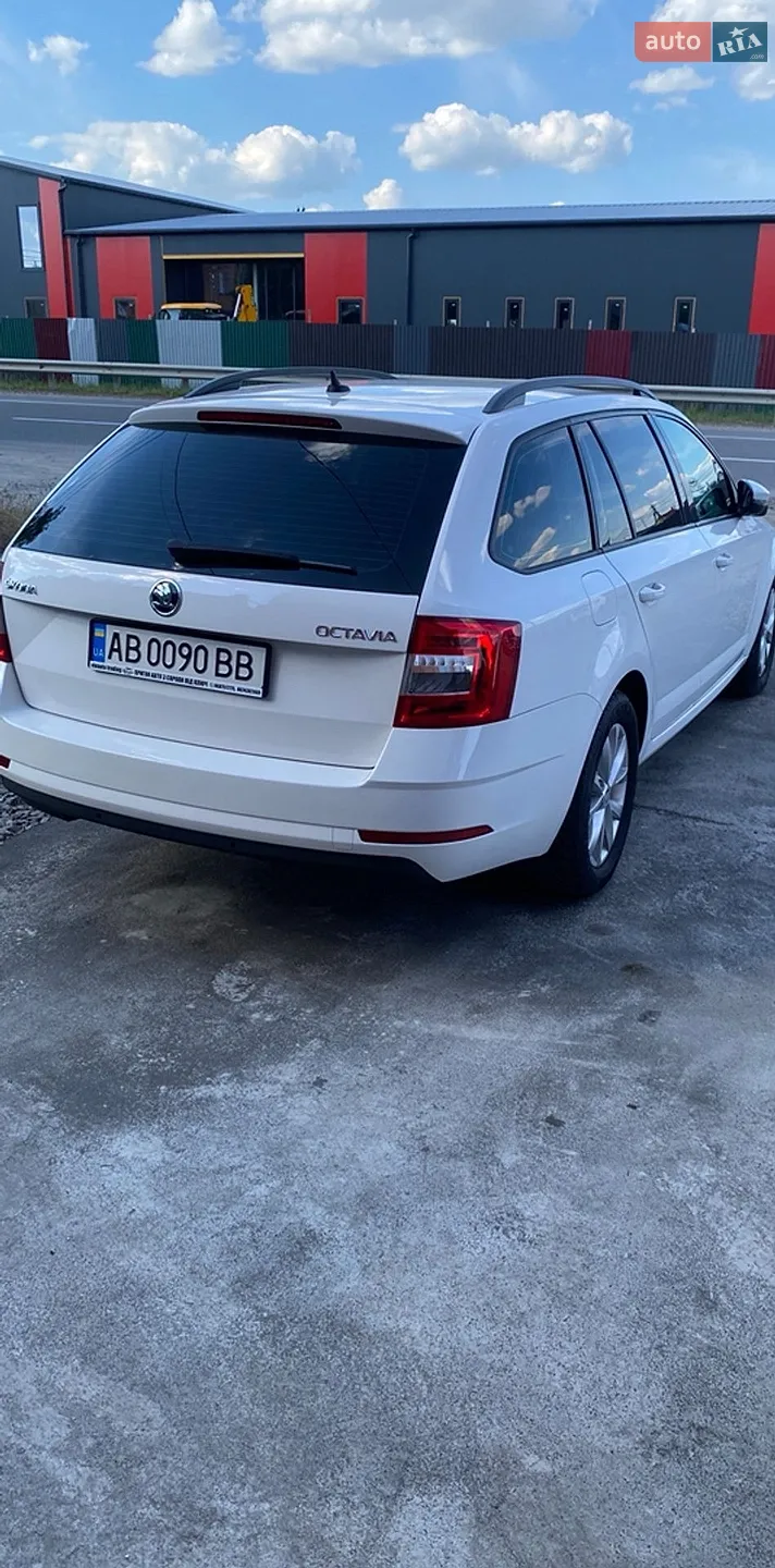 2019 Skoda Octavia - мініатюра 12