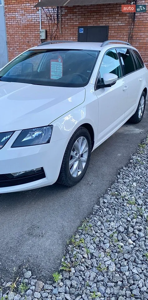 2020 Skoda Octavia - мініатюра 13