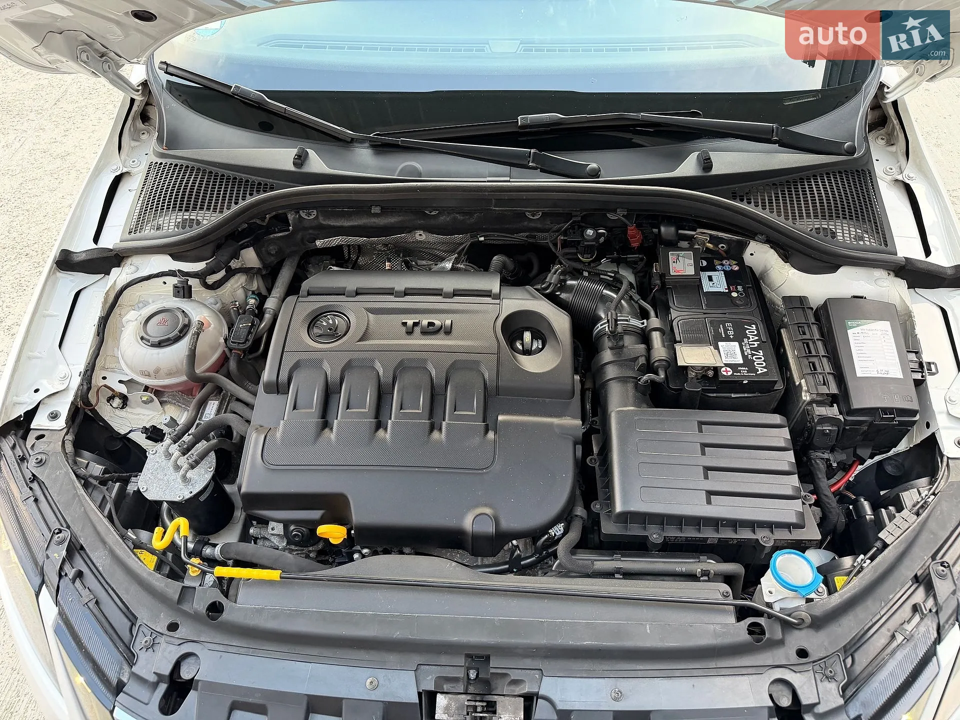 2018 Skoda Octavia - мініатюра 33