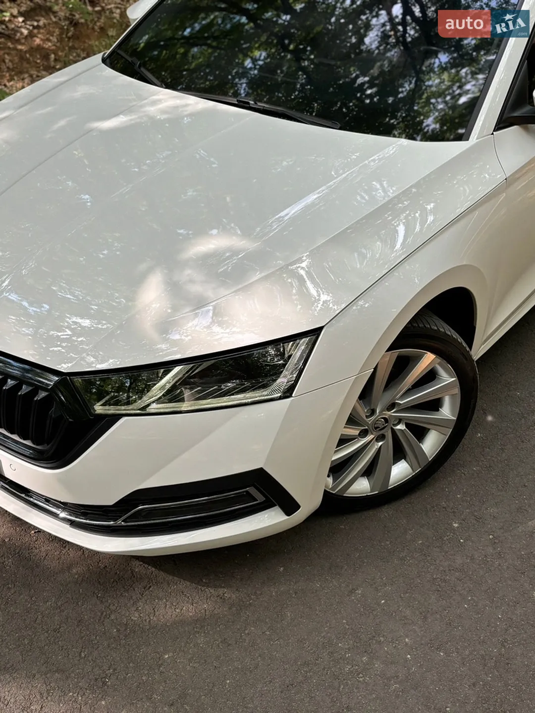 2020 Skoda Octavia - мініатюра 5