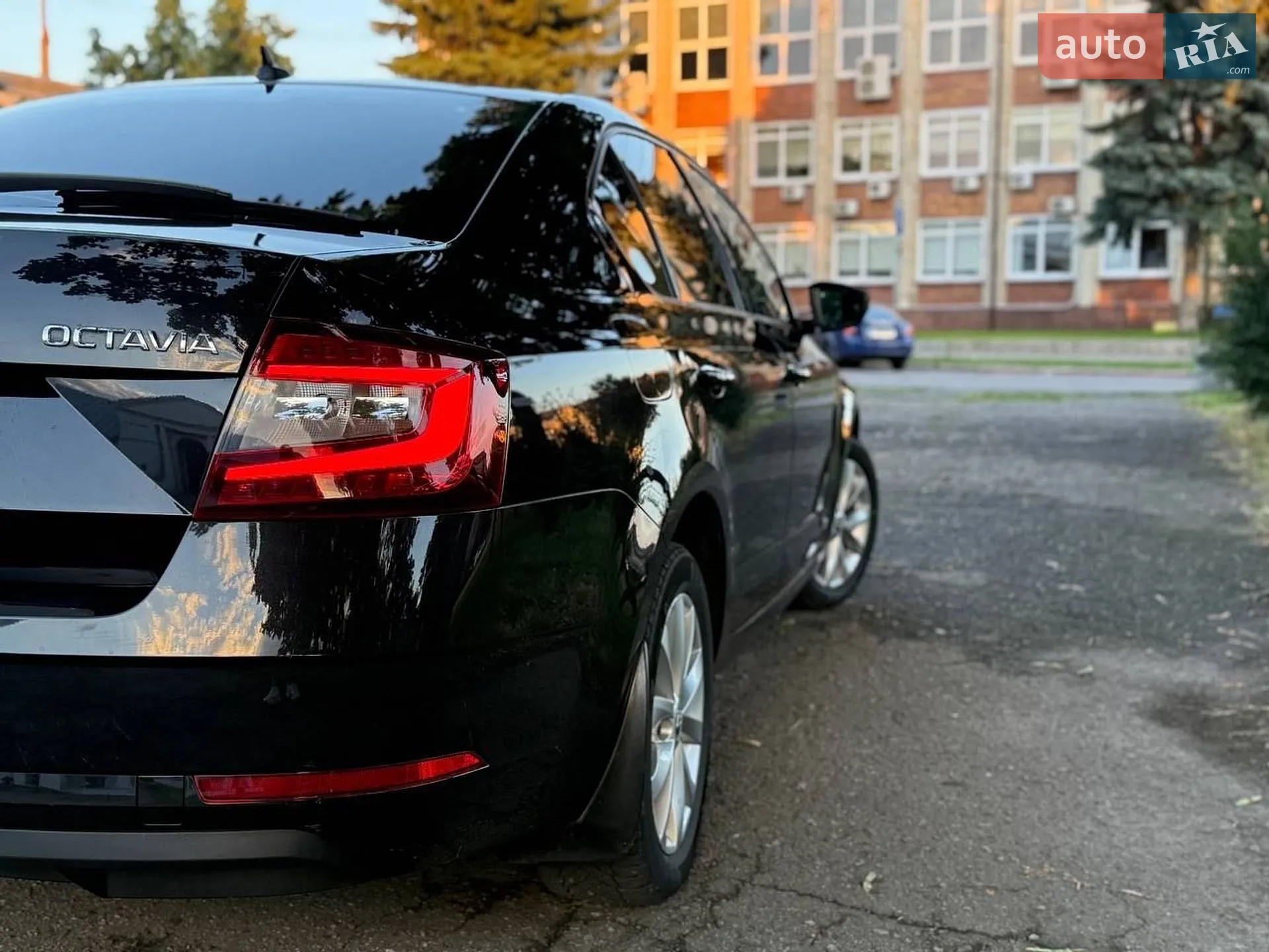 2019 Skoda Octavia - мініатюра 9