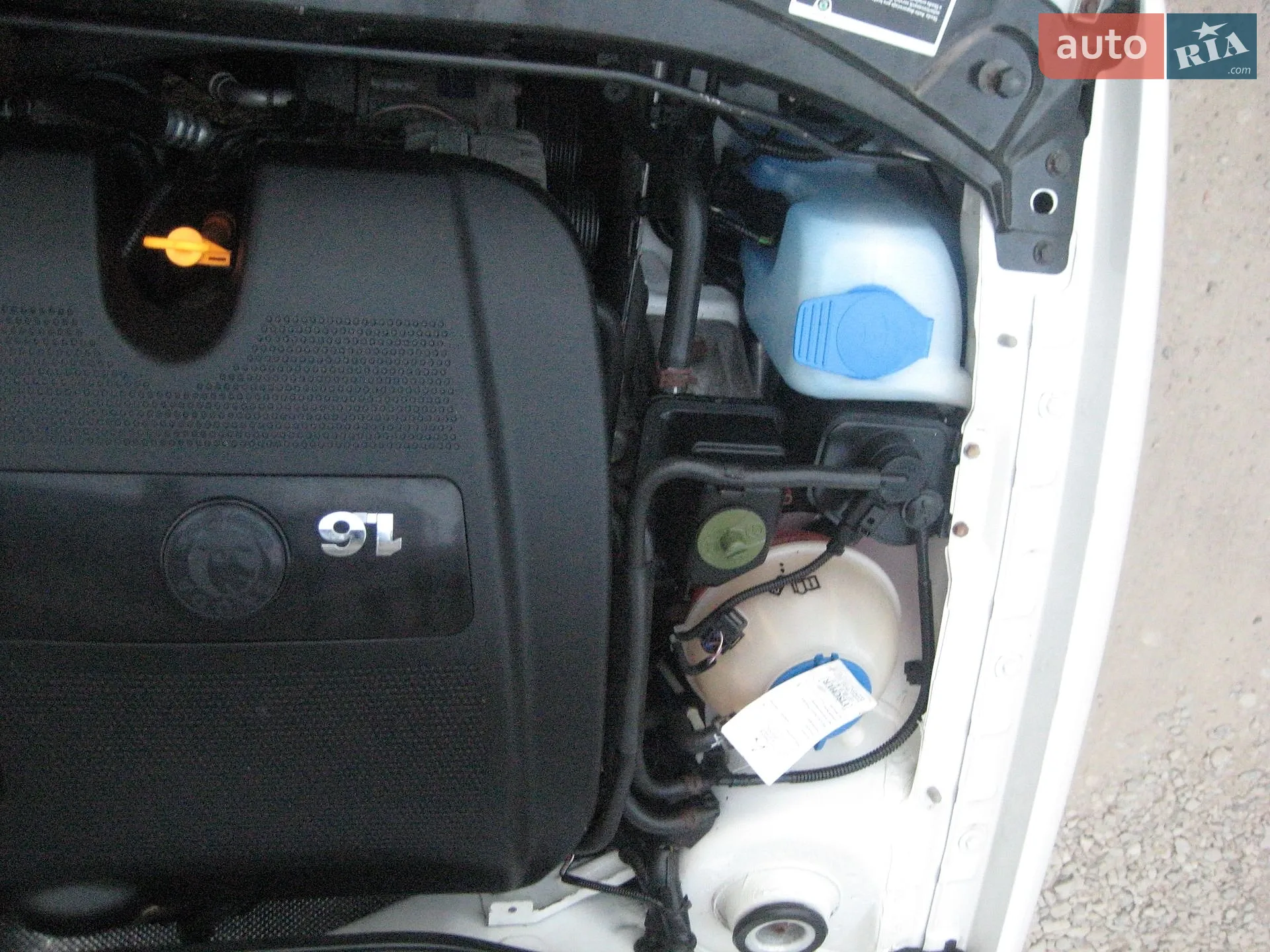 Skoda Octavia 2009 VIN TMBDX21U1A8835229 фото оголошення 19 з 21