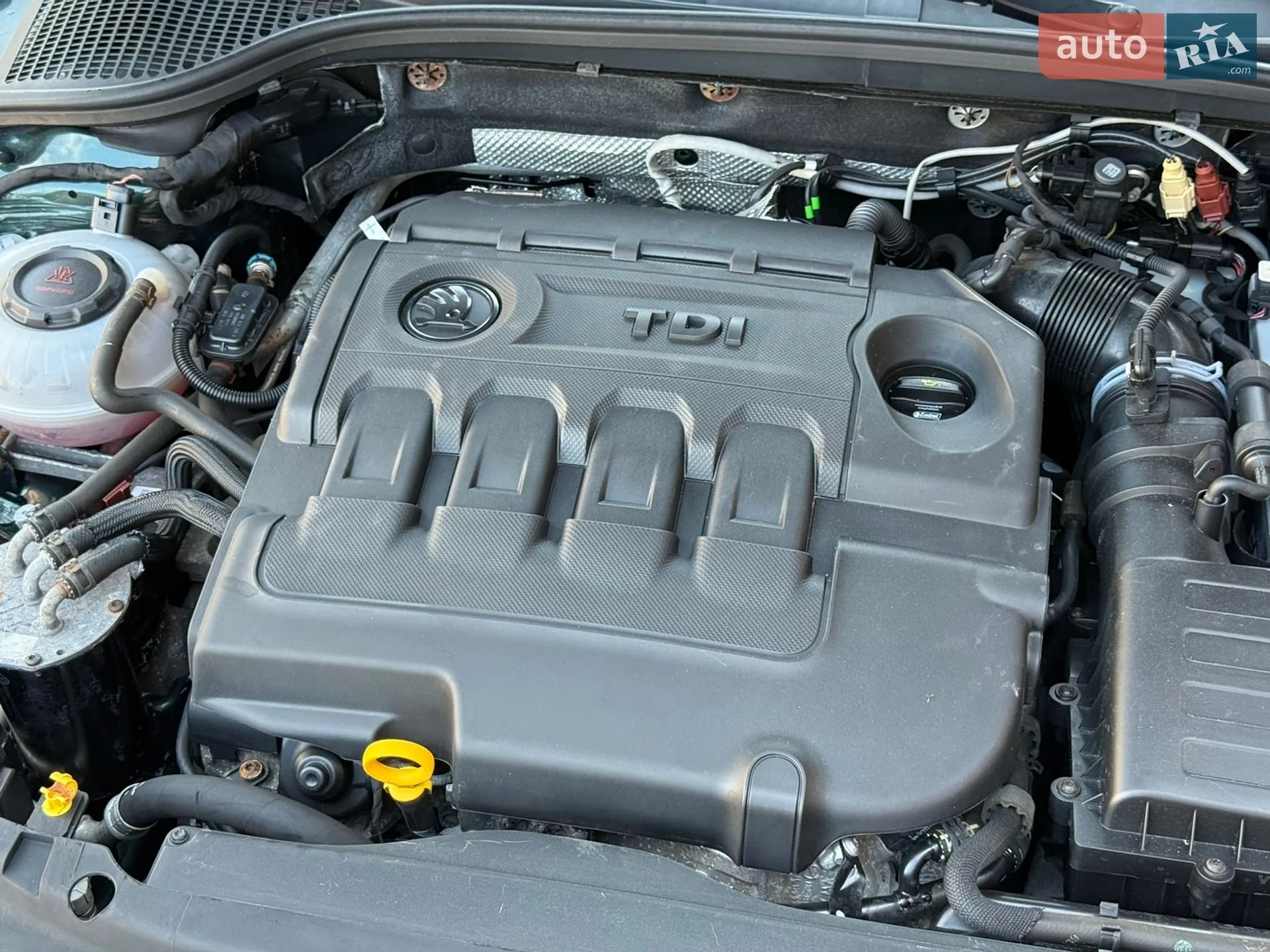 2019 Skoda Octavia - мініатюра 76