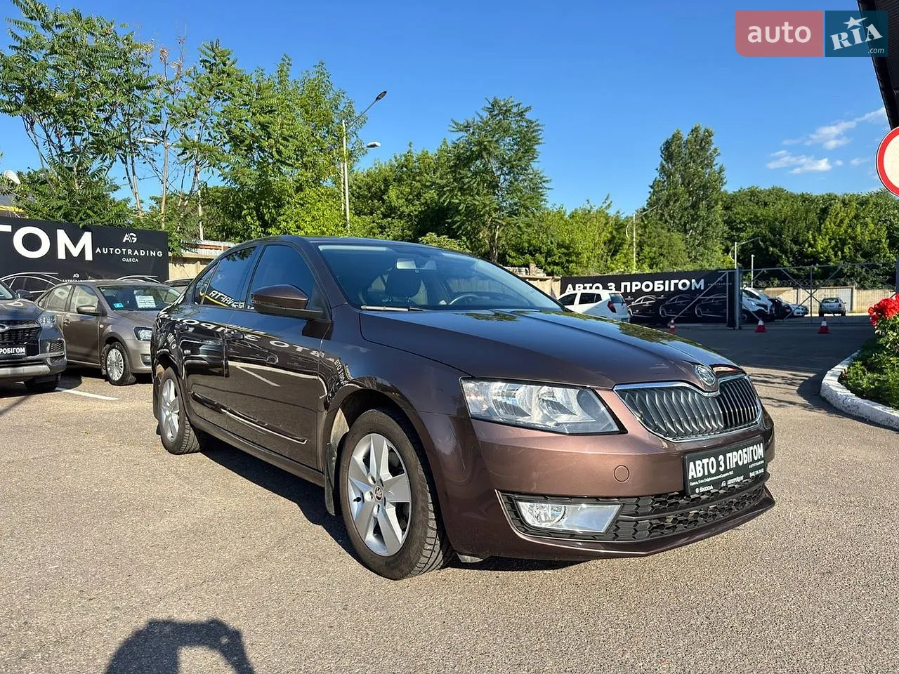 2014 Skoda Octavia - мініатюра 10