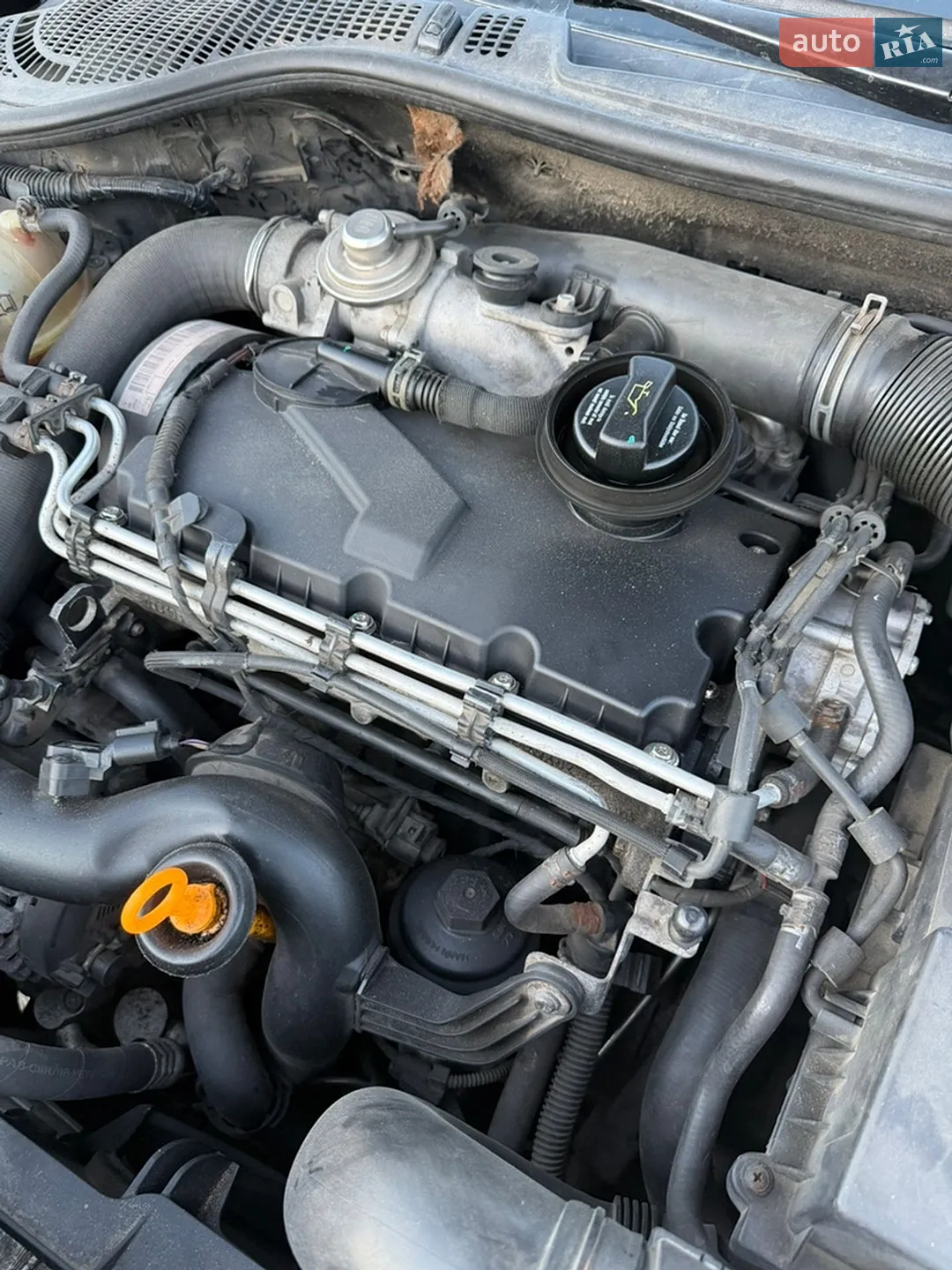 2010 Skoda Octavia - мініатюра 48