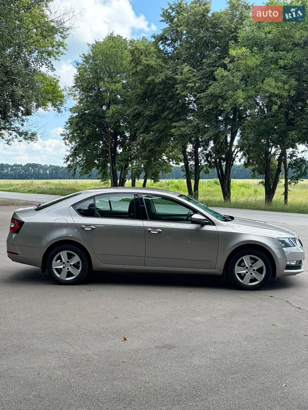 2017 Skoda Octavia - мініатюра 4