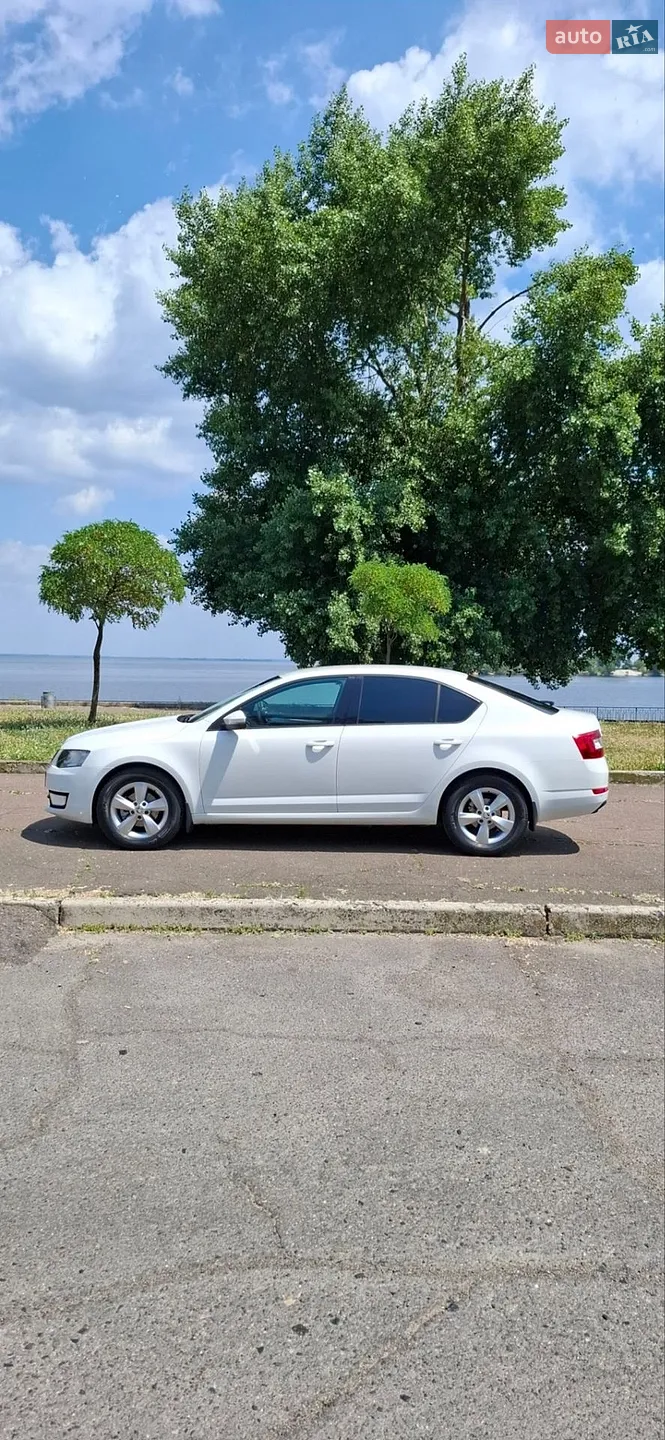 2016 Skoda Octavia - мініатюра 3