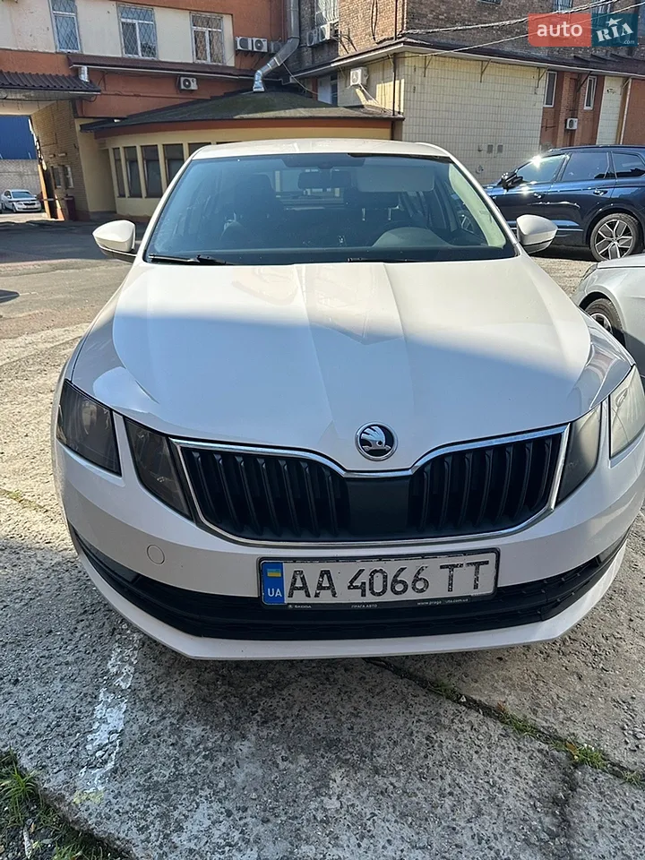 2019 Skoda Octavia - мініатюра 23