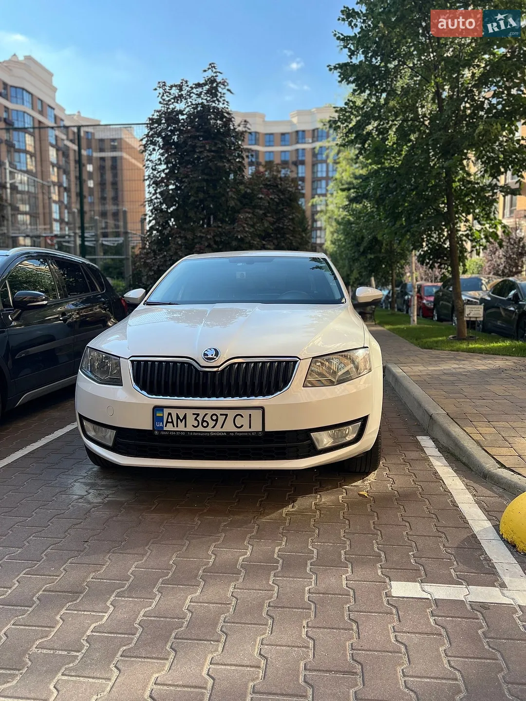 2013 Skoda Octavia - мініатюра 2