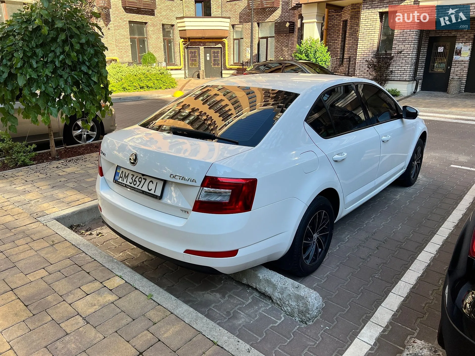 2013 Skoda Octavia - мініатюра 5