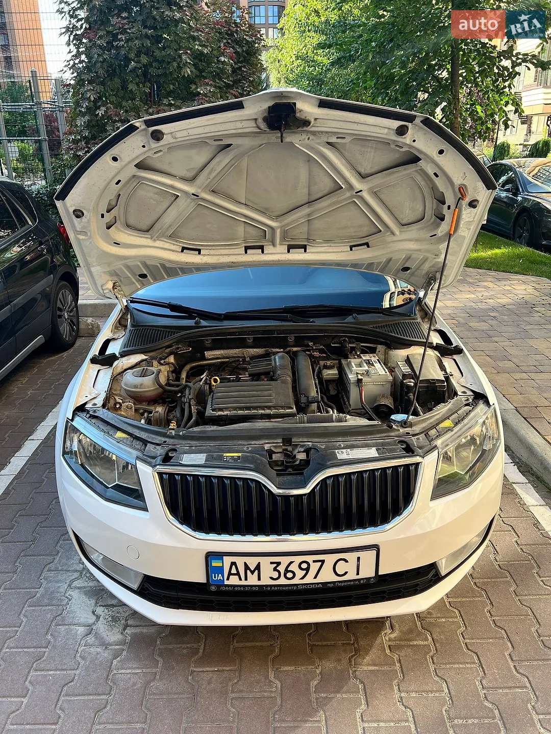 2013 Skoda Octavia - мініатюра 7