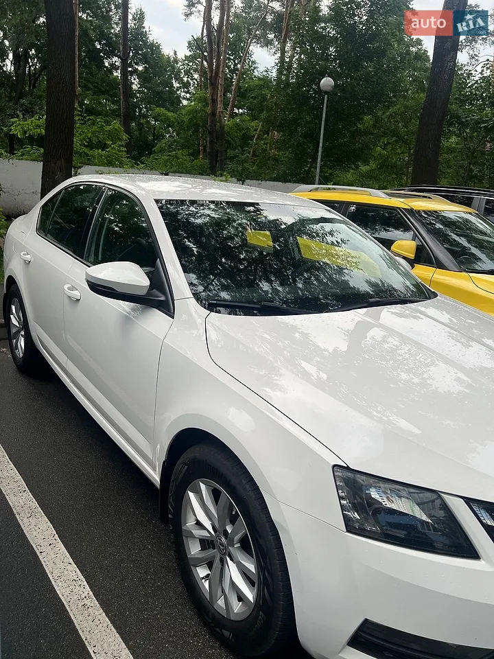 2017 Skoda Octavia - мініатюра 40