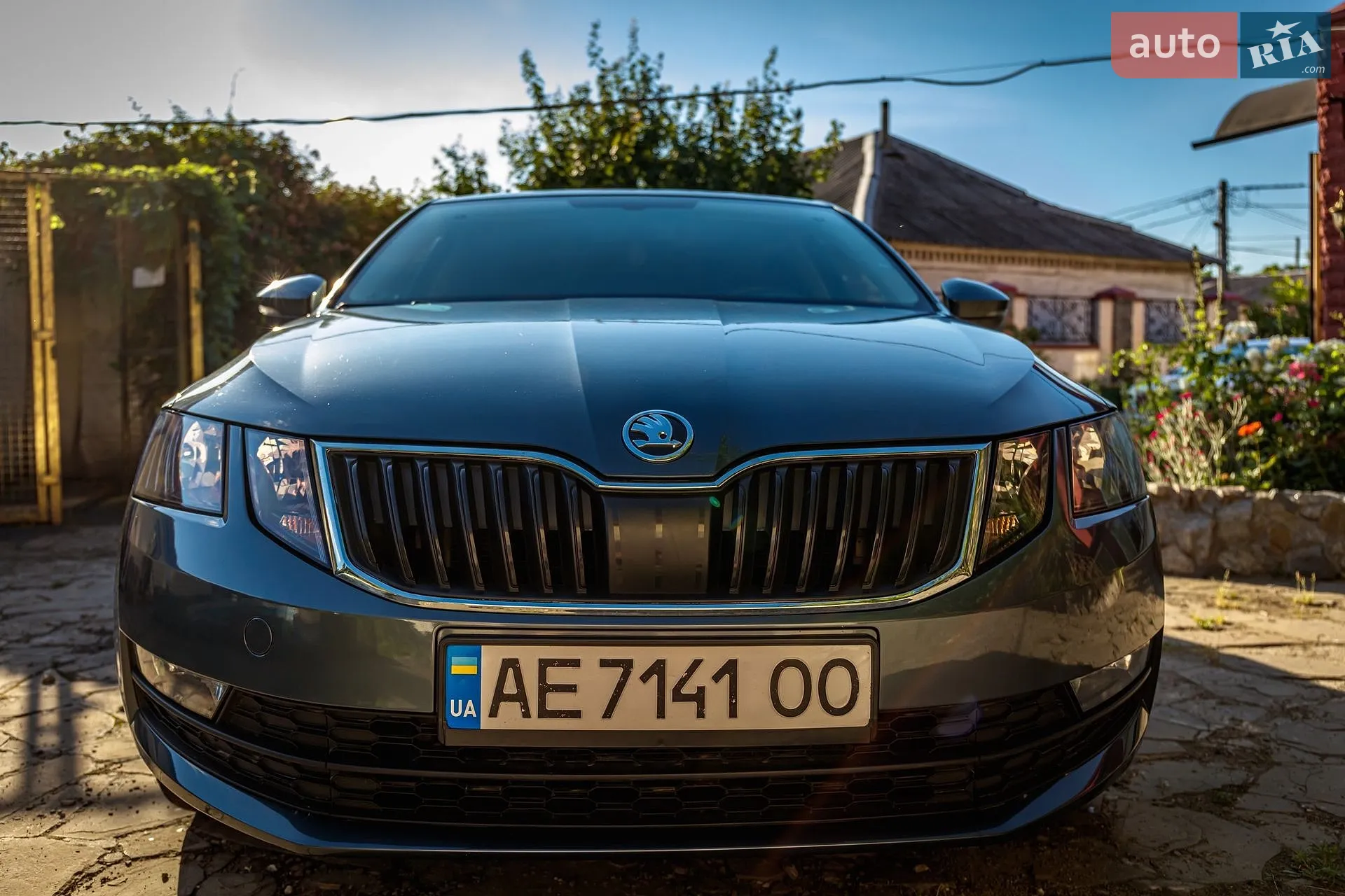 2019 Skoda Octavia - мініатюра 4