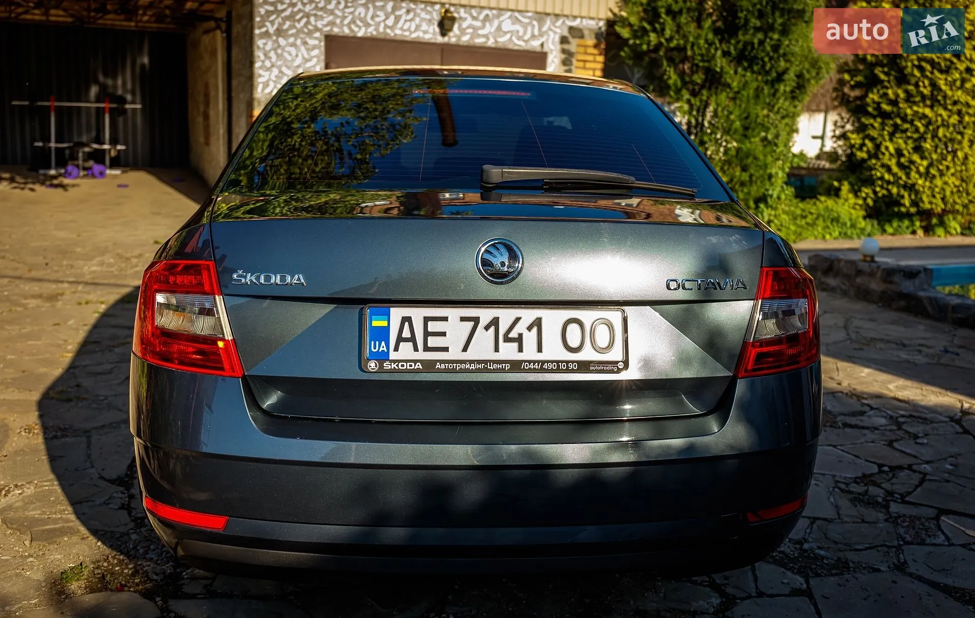 2019 Skoda Octavia - мініатюра 5