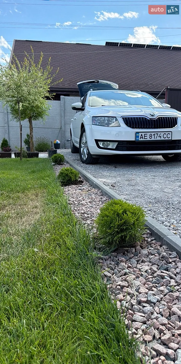 2013 Skoda Octavia - мініатюра 13