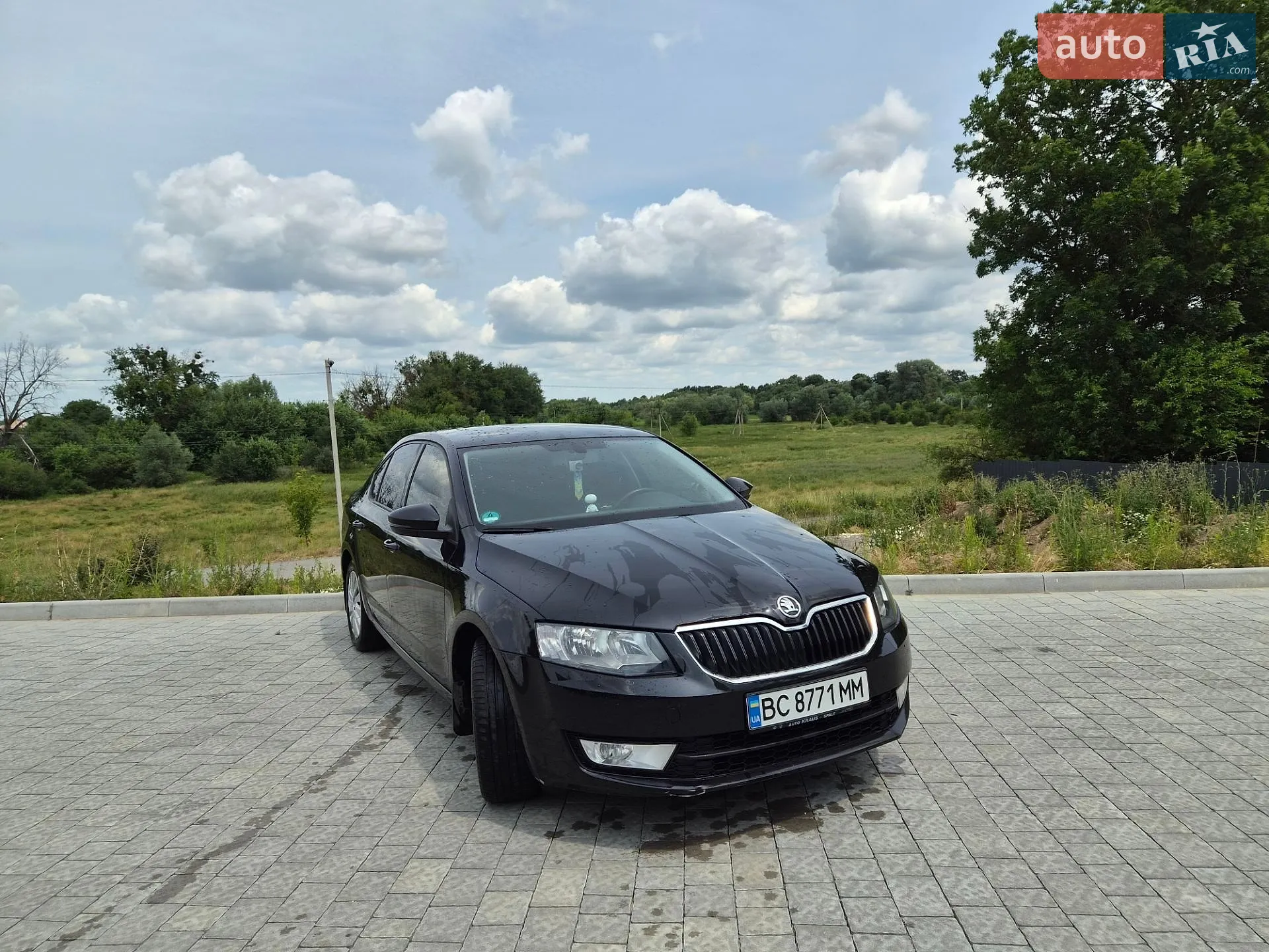 2014 Skoda Octavia - мініатюра 9