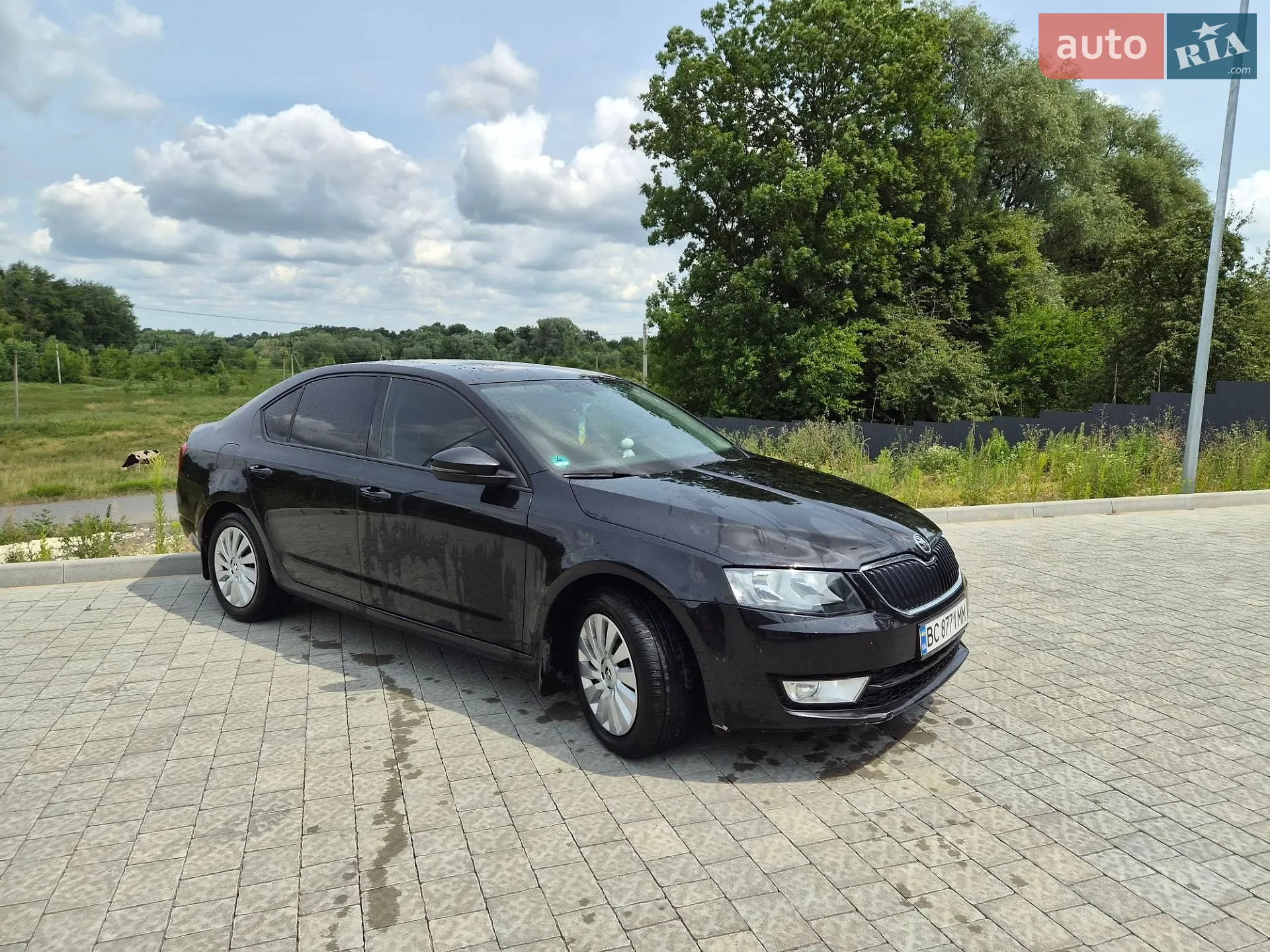 2014 Skoda Octavia - мініатюра 2