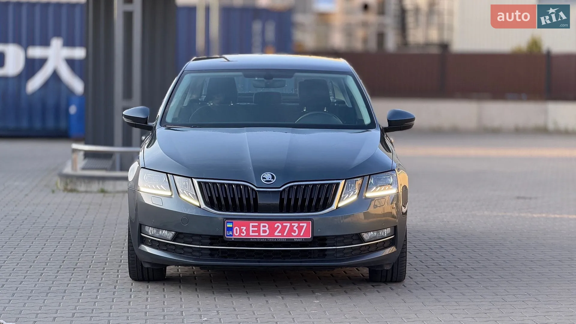 2017 Skoda Octavia - мініатюра 3