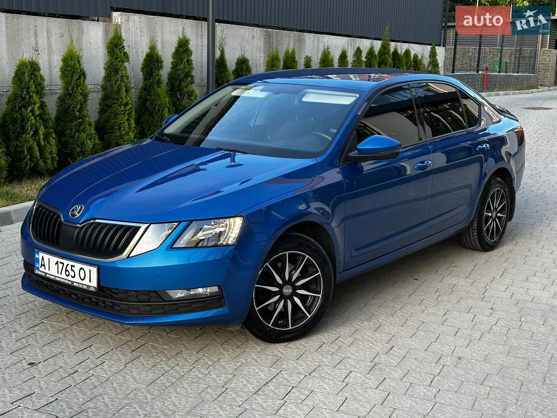 2019 Skoda Octavia - мініатюра 6