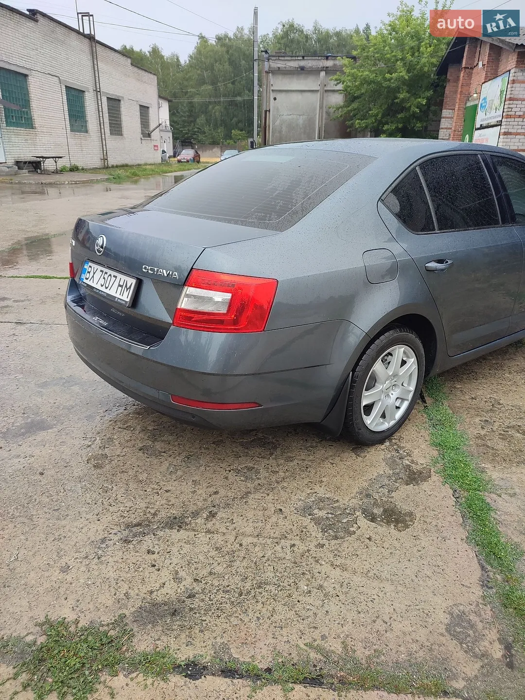 2018 Skoda Octavia - мініатюра 3