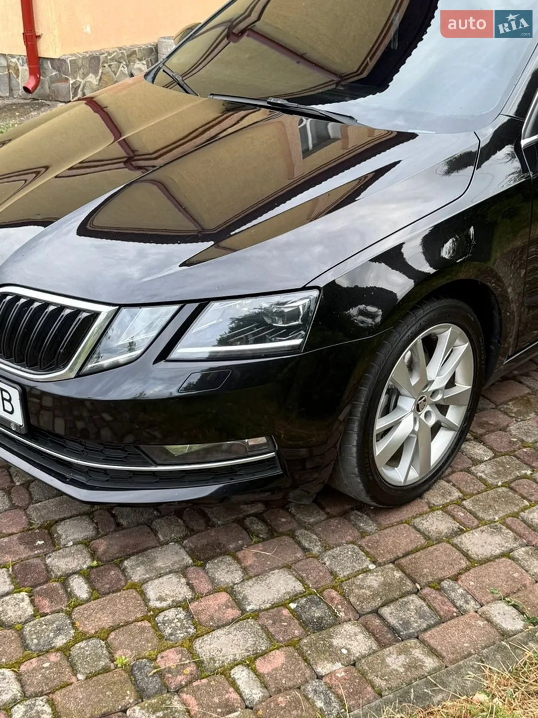 2017 Skoda Octavia - мініатюра 13