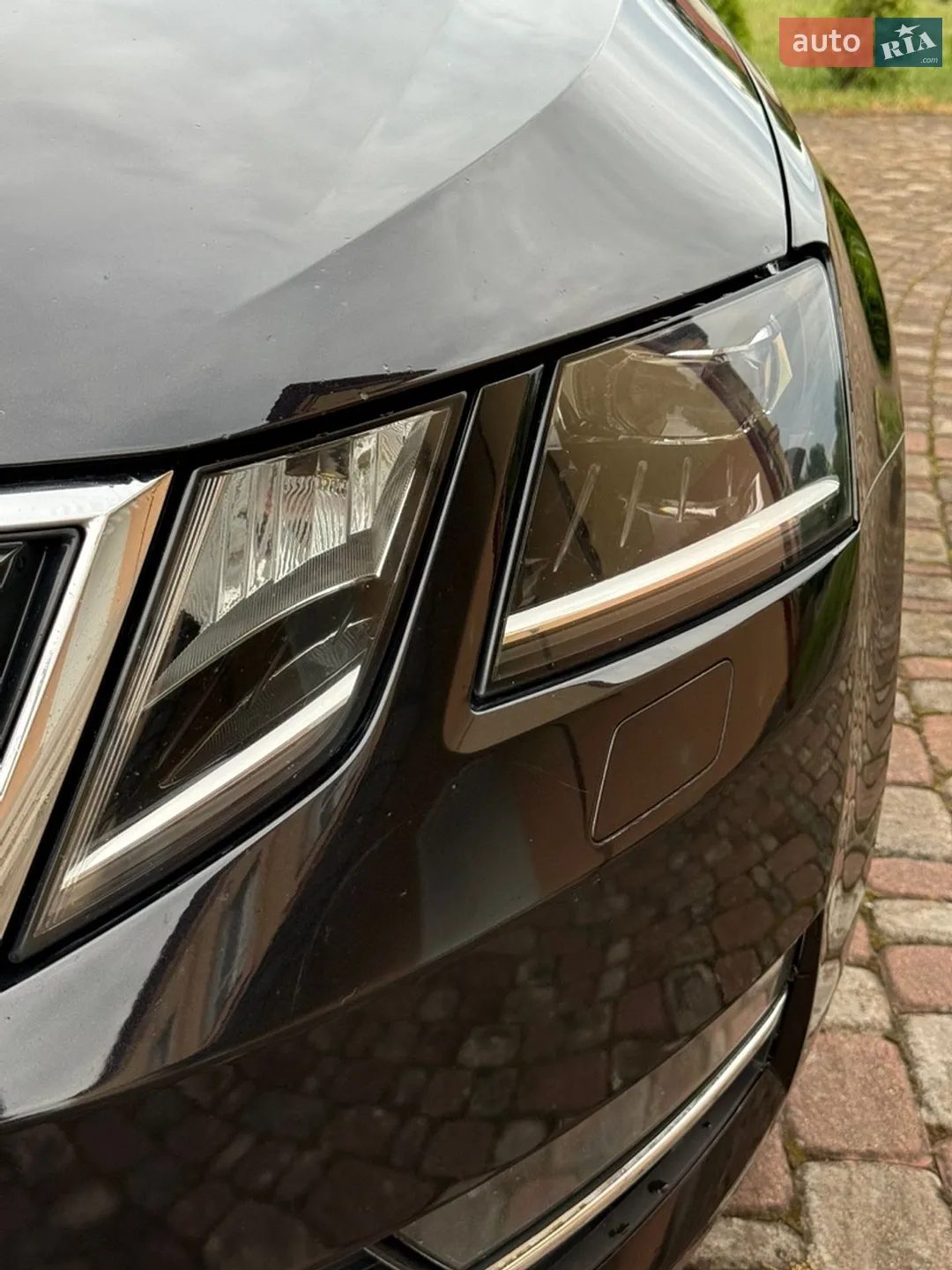 2017 Skoda Octavia - мініатюра 18