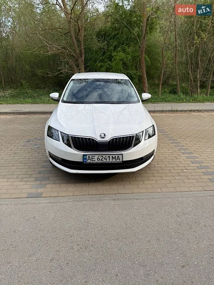 2019 Skoda Octavia - мініатюра 30