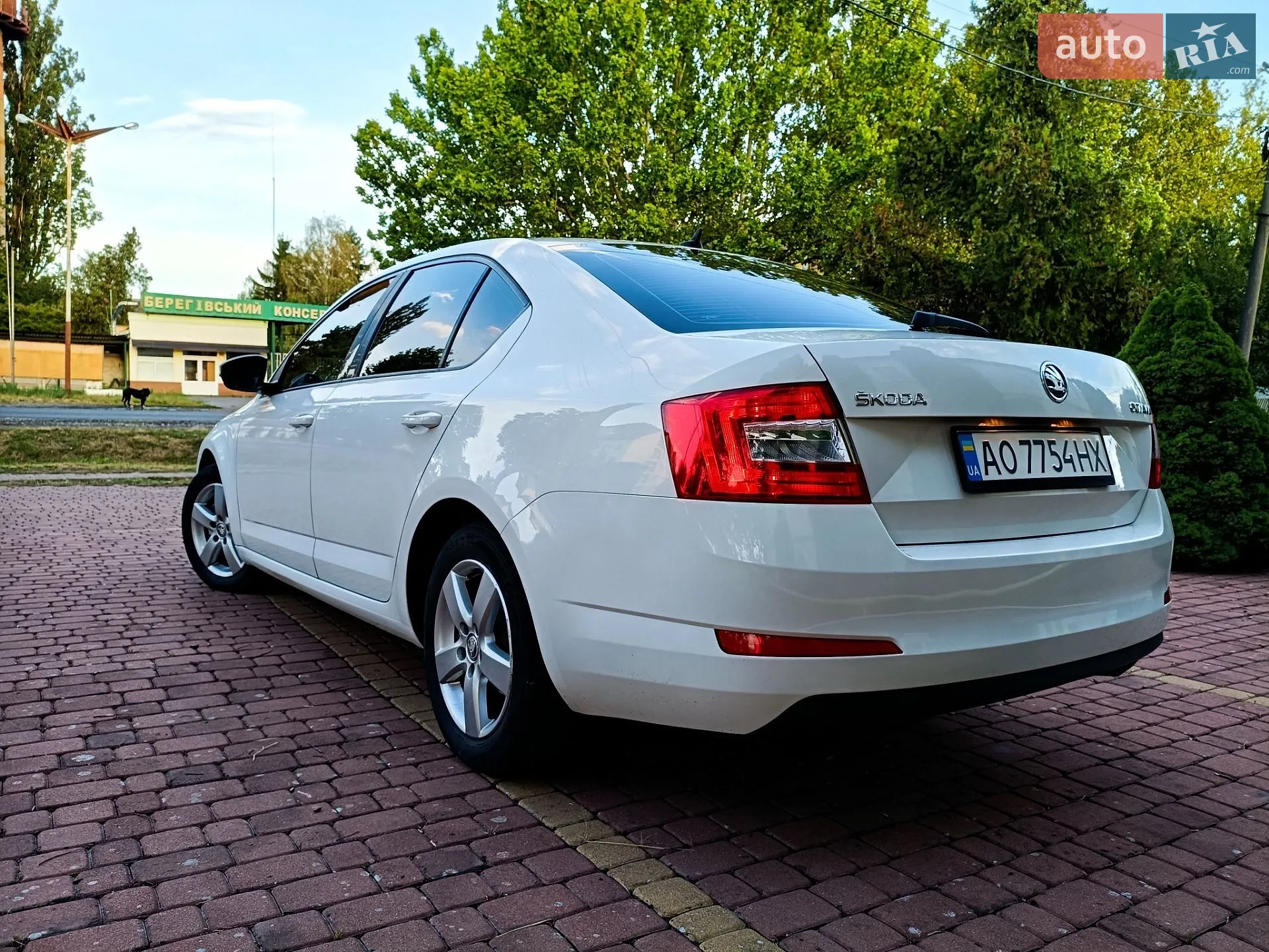 2016 Skoda Octavia - мініатюра 5