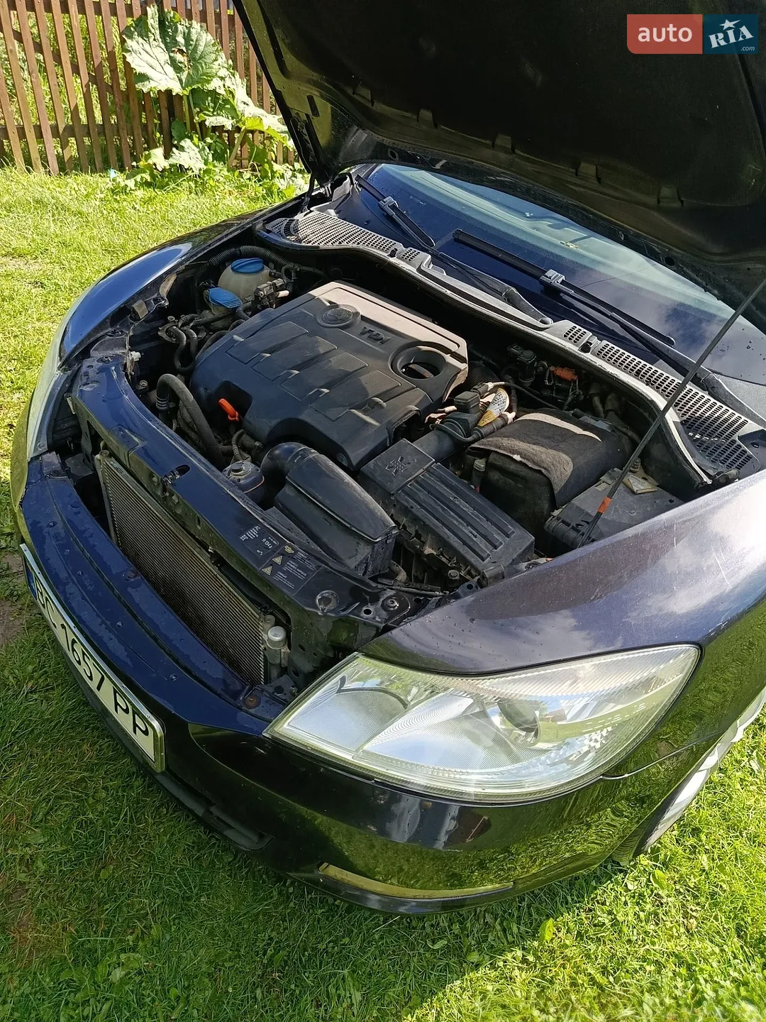 2011 Skoda Octavia - мініатюра 14