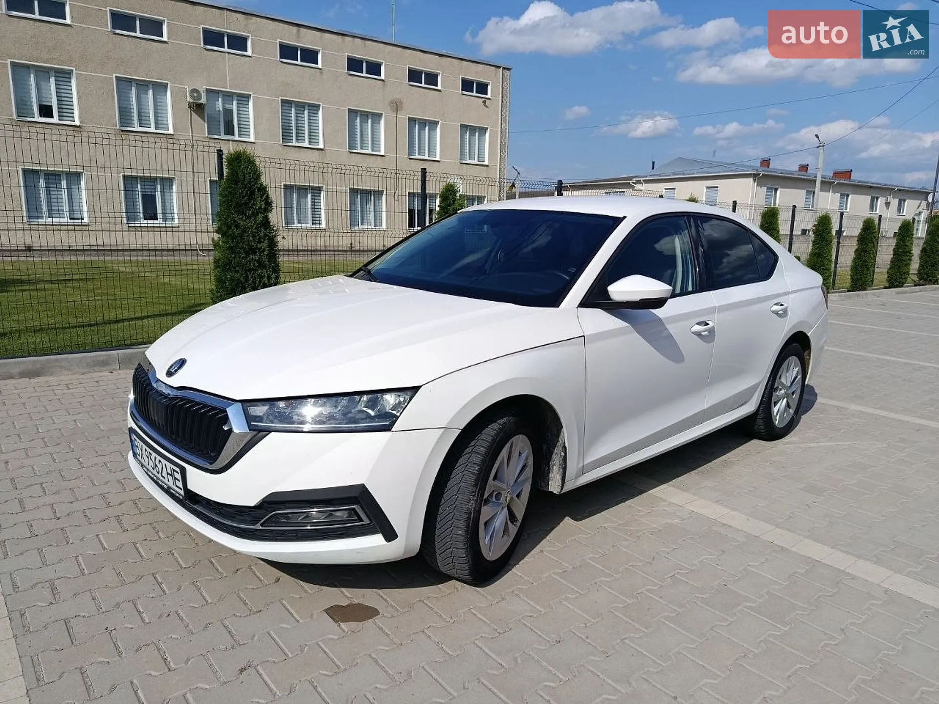 2020 Skoda Octavia - мініатюра 4